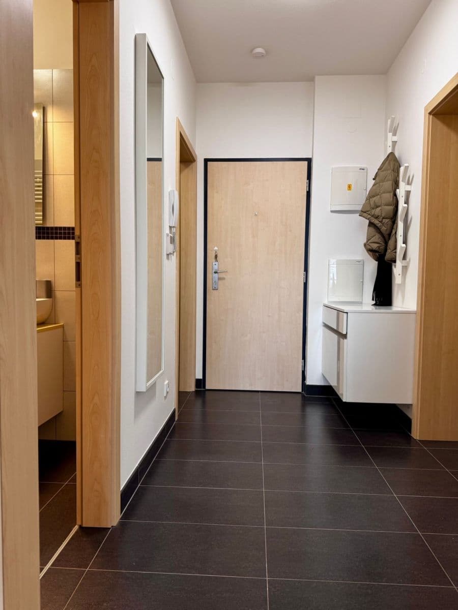 1 bedroom with open-plan kitchen flat to rent, 59 m², Houbalova, Brno, Jihomoravský Region 1 bedroom with open-plan kitchen flat to rent, 59 m², Houbalova, Brno, Jihomoravský Region