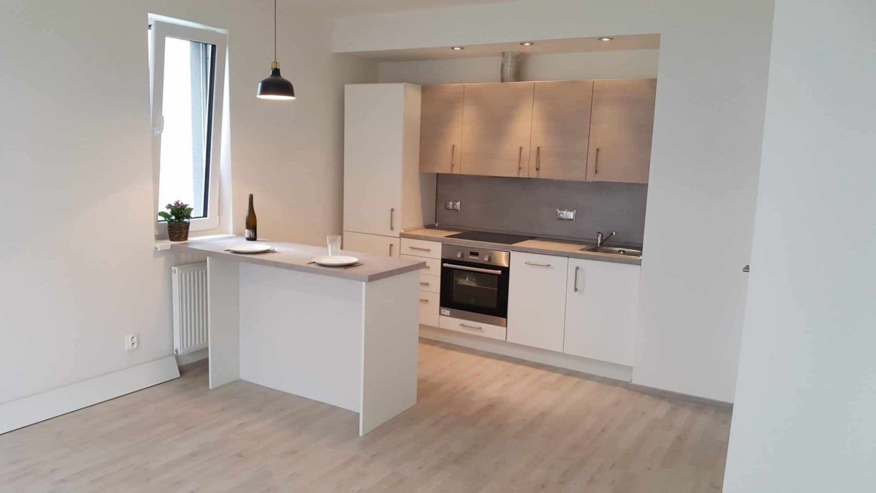 1 bedroom with open-plan kitchen flat to rent, 50 m², Strnadových, Prague, Prague 1 bedroom with open-plan kitchen flat to rent, 50 m², Strnadových, Prague, Prague