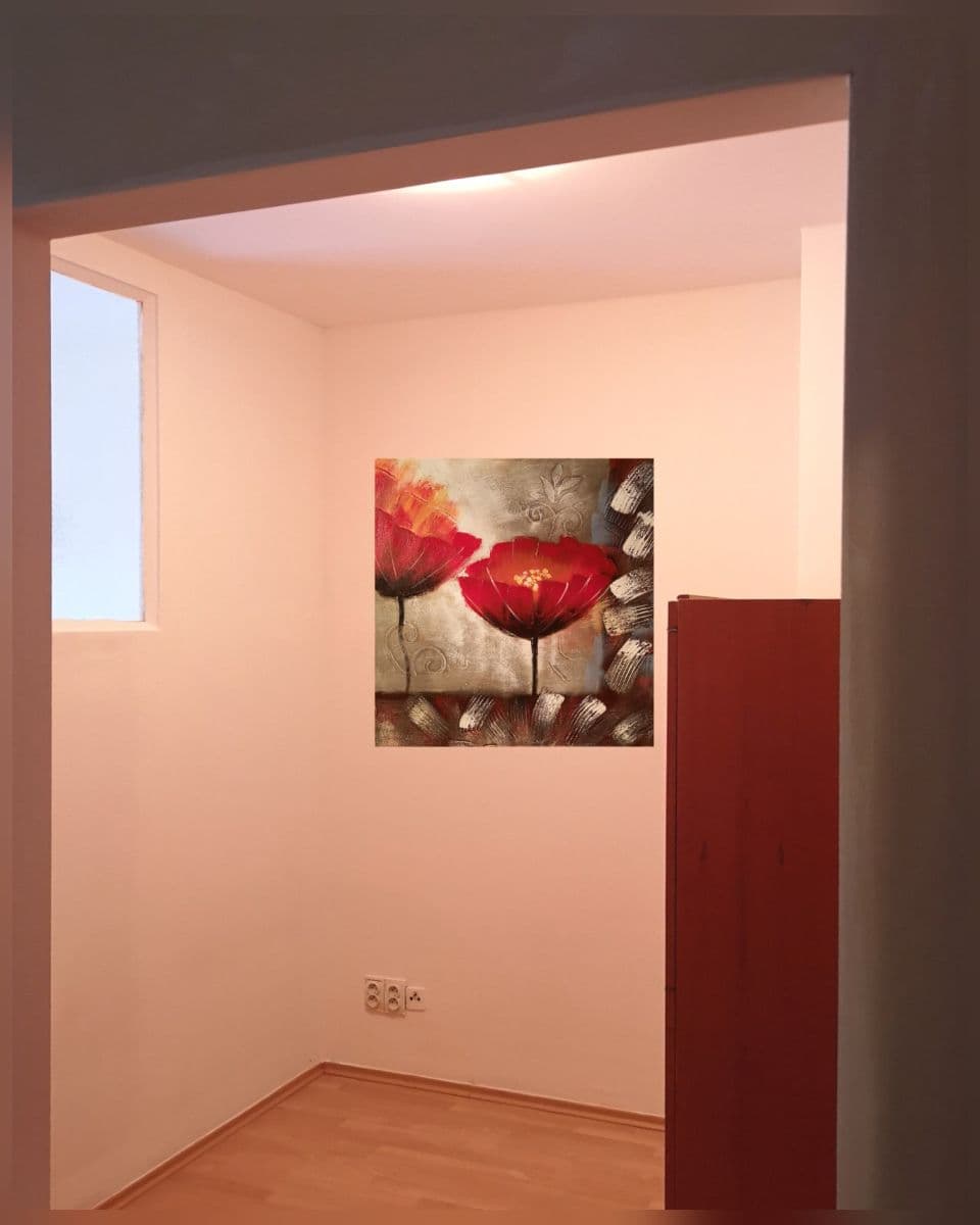 1 bedroom with open-plan kitchen flat for sale, 42 m², Fischerova, Olomouc, Olomoucký Region 1 bedroom with open-plan kitchen flat for sale, 42 m², Fischerova, Olomouc, Olomoucký Region