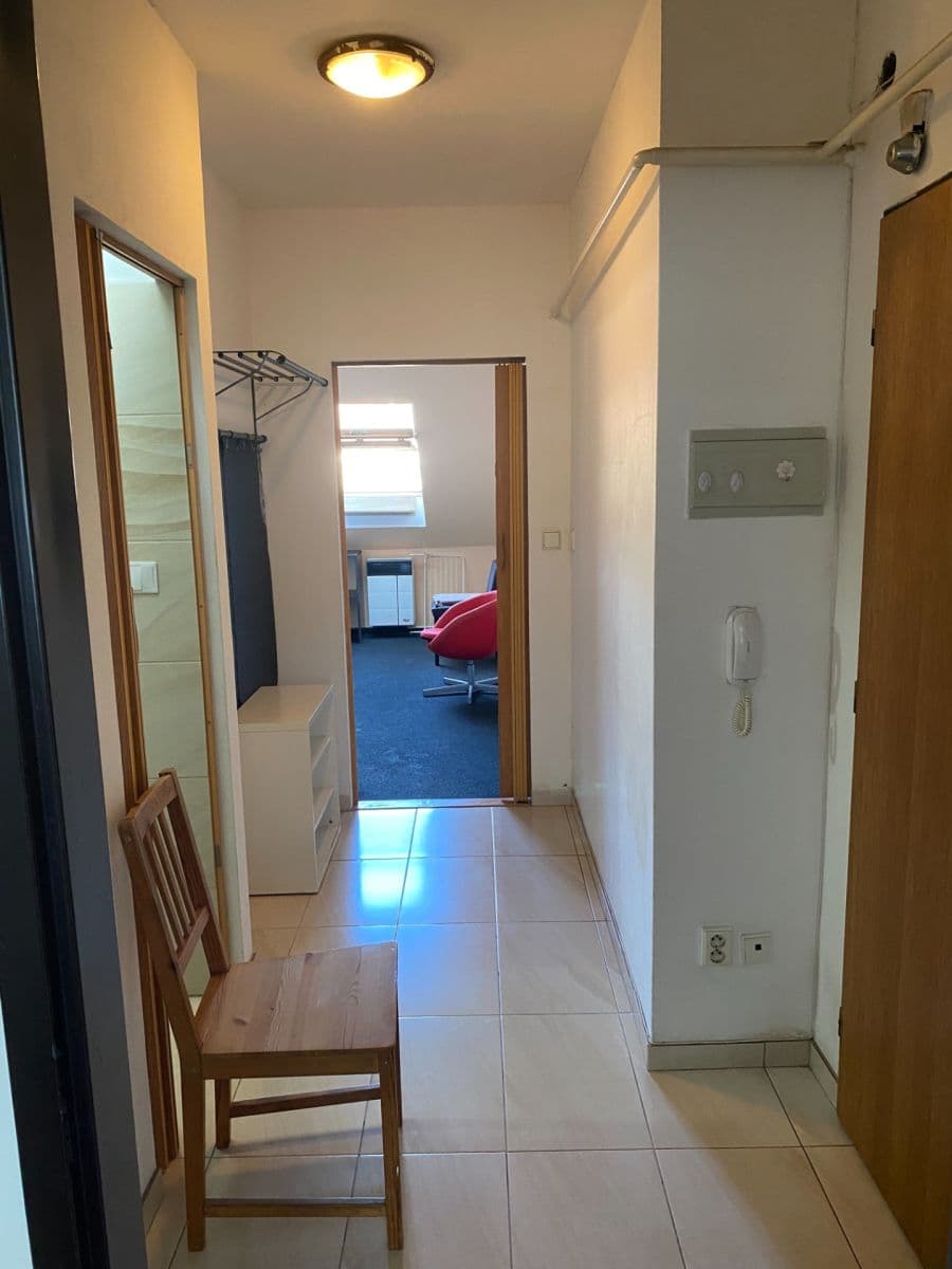 1 bedroom with open-plan kitchen flat to rent, 51 m², Plzeňská, Prague, Prague 1 bedroom with open-plan kitchen flat to rent, 51 m², Plzeňská, Prague, Prague