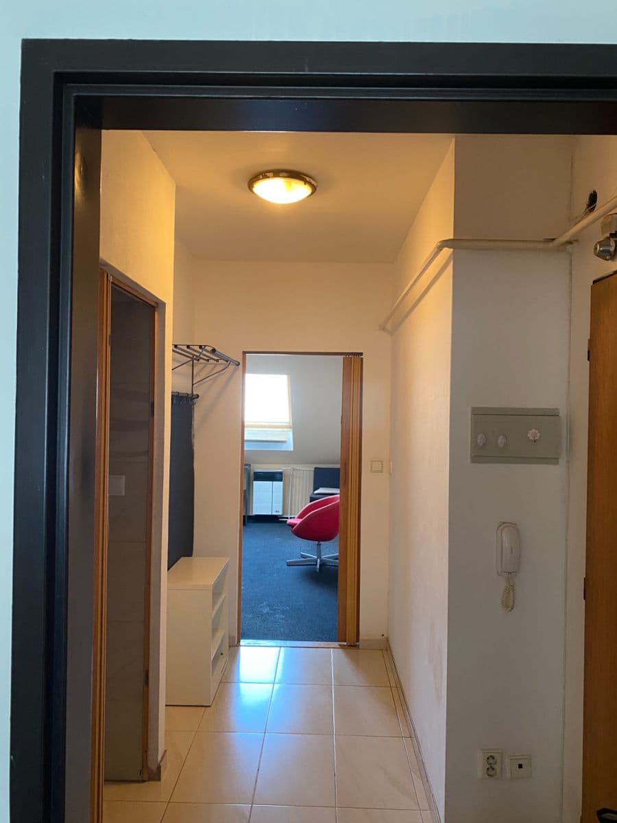 1 bedroom with open-plan kitchen flat to rent, 51 m², Plzeňská, Prague, Prague 1 bedroom with open-plan kitchen flat to rent, 51 m², Plzeňská, Prague, Prague