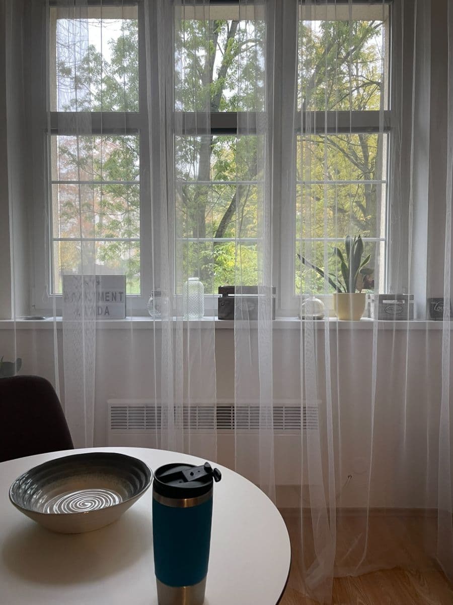 1 bedroom with open-plan kitchen flat to rent, 56 m², Stehlíkova, Plzeň, Plzeňský Region 1 bedroom with open-plan kitchen flat to rent, 56 m², Stehlíkova, Plzeň, Plzeňský Region