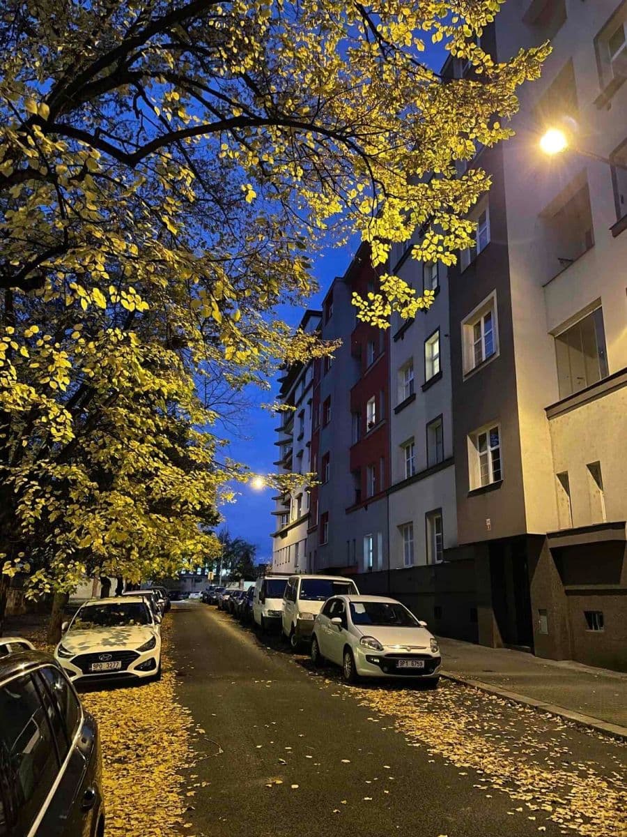 1 bedroom with open-plan kitchen flat to rent, 56 m², Stehlíkova, Plzeň, Plzeňský Region 1 bedroom with open-plan kitchen flat to rent, 56 m², Stehlíkova, Plzeň, Plzeňský Region