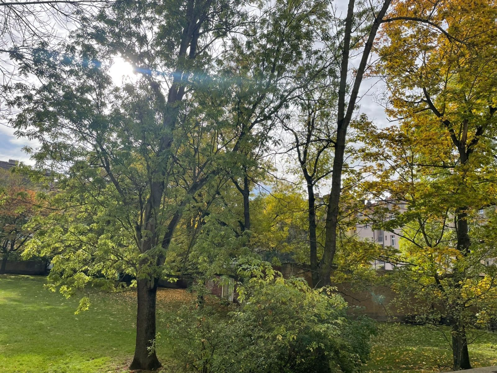 1 bedroom with open-plan kitchen flat to rent, 56 m², Stehlíkova, Plzeň, Plzeňský Region 1 bedroom with open-plan kitchen flat to rent, 56 m², Stehlíkova, Plzeň, Plzeňský Region