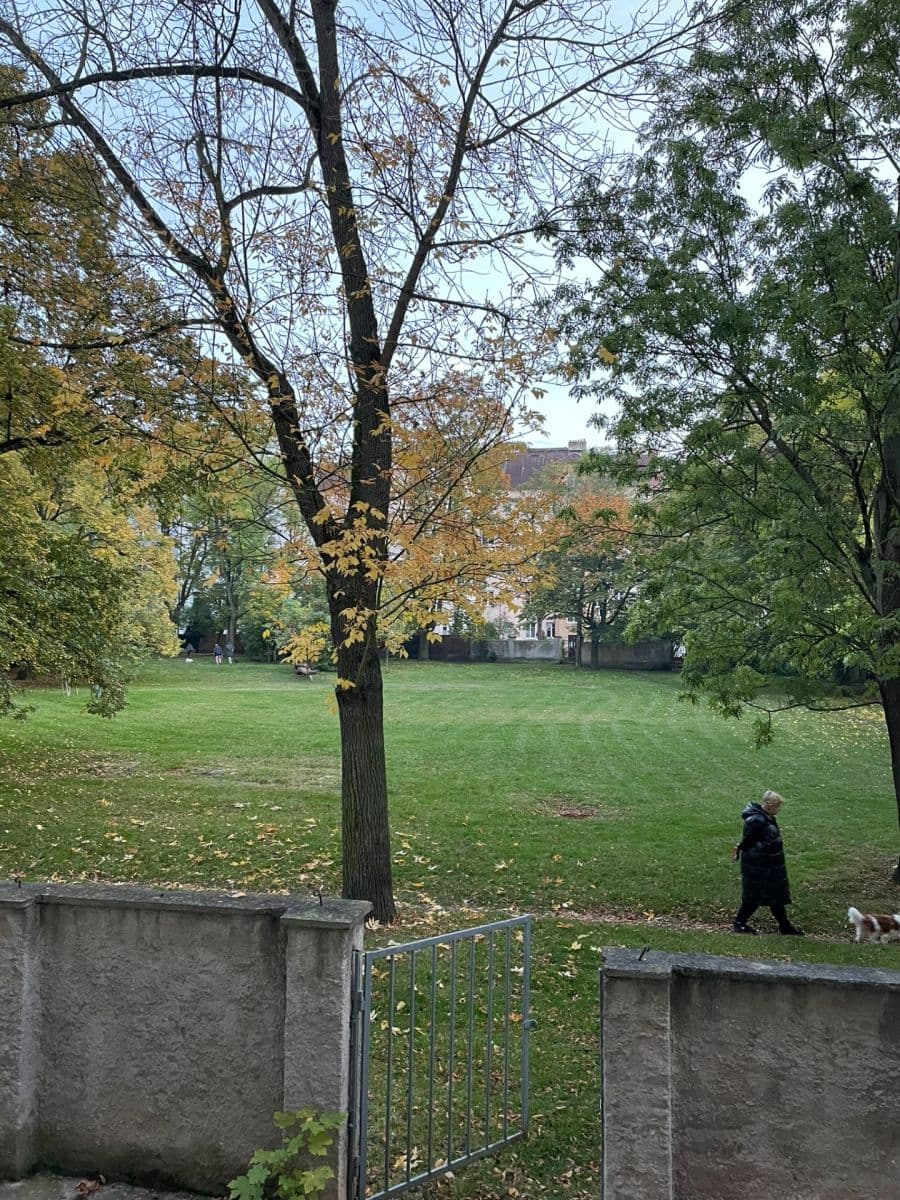 1 bedroom with open-plan kitchen flat to rent, 56 m², Stehlíkova, Plzeň, Plzeňský Region 1 bedroom with open-plan kitchen flat to rent, 56 m², Stehlíkova, Plzeň, Plzeňský Region