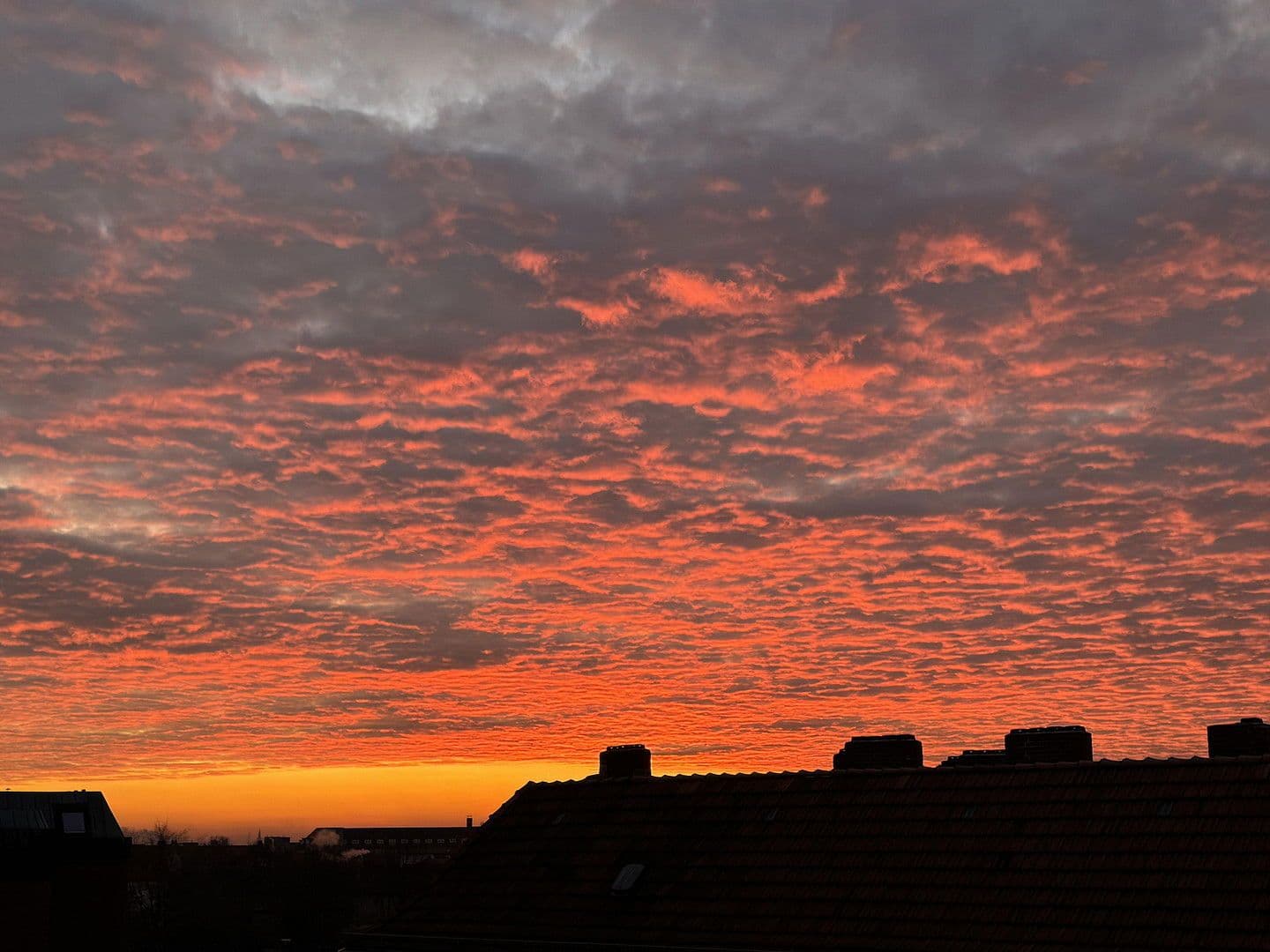 3 bedroom flat for sale, 80 m², Walderseestraße, Berlin, Berlin 3 bedroom flat for sale, 80 m², Walderseestraße, Berlin, Berlin