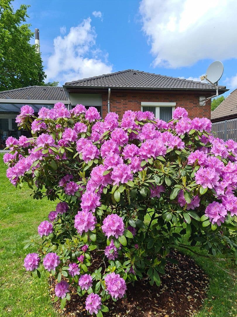 house for sale, 102 m², Hemmingstedt, Schleswig-Holstein house for sale, 102 m², Hemmingstedt, Schleswig-Holstein