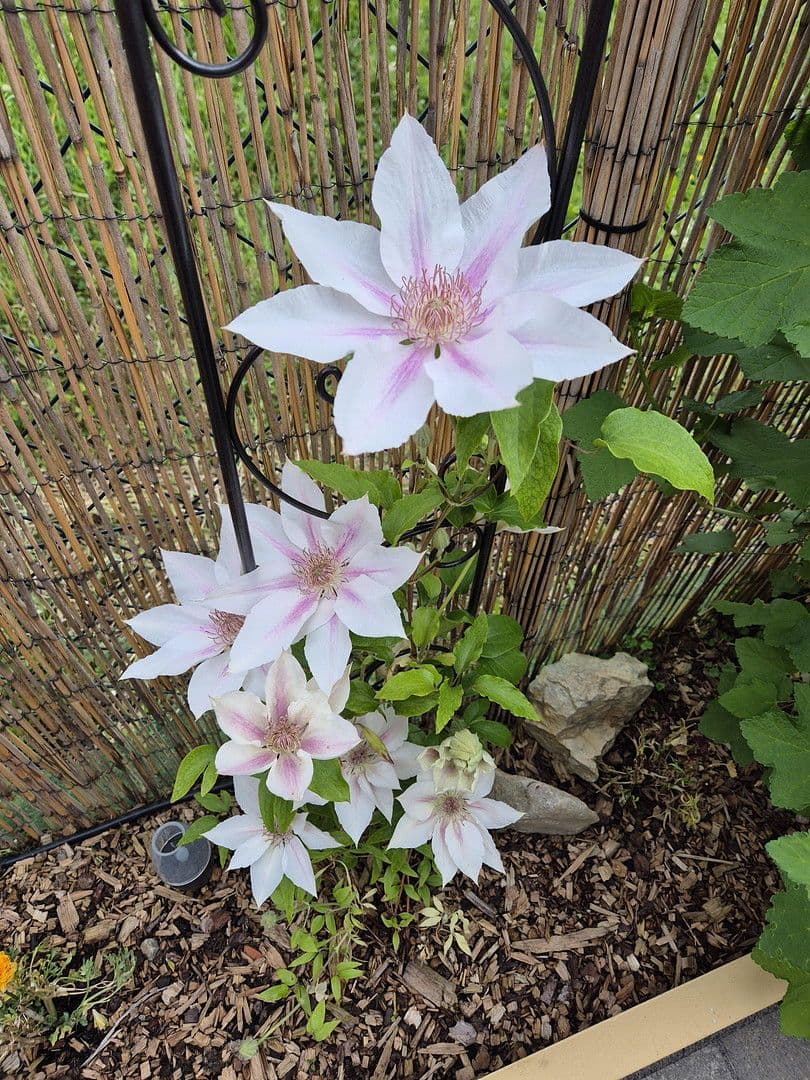 3 bedroom flat for sale, 111 m², Waldbüttelbrunn, Bavaria 3 bedroom flat for sale, 111 m², Waldbüttelbrunn, Bavaria