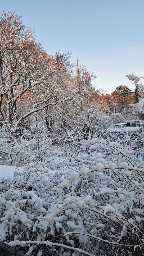 house for sale, 200 m², Berlin, Berlin house for sale, 200 m², Berlin, Berlin