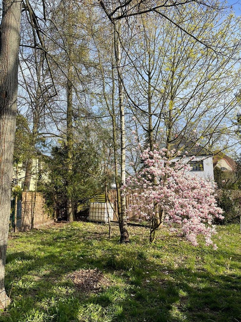 house for sale, 168 m², Teltow, Brandenburg house for sale, 168 m², Teltow, Brandenburg