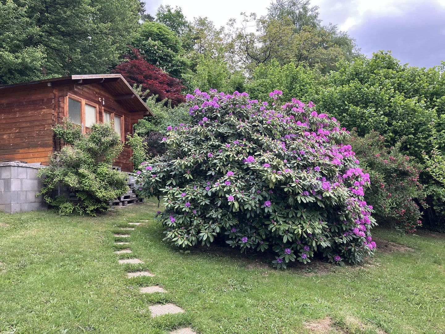 house for sale, 50 m², Lockenhaus, Burgenland house for sale, 50 m², Lockenhaus, Burgenland