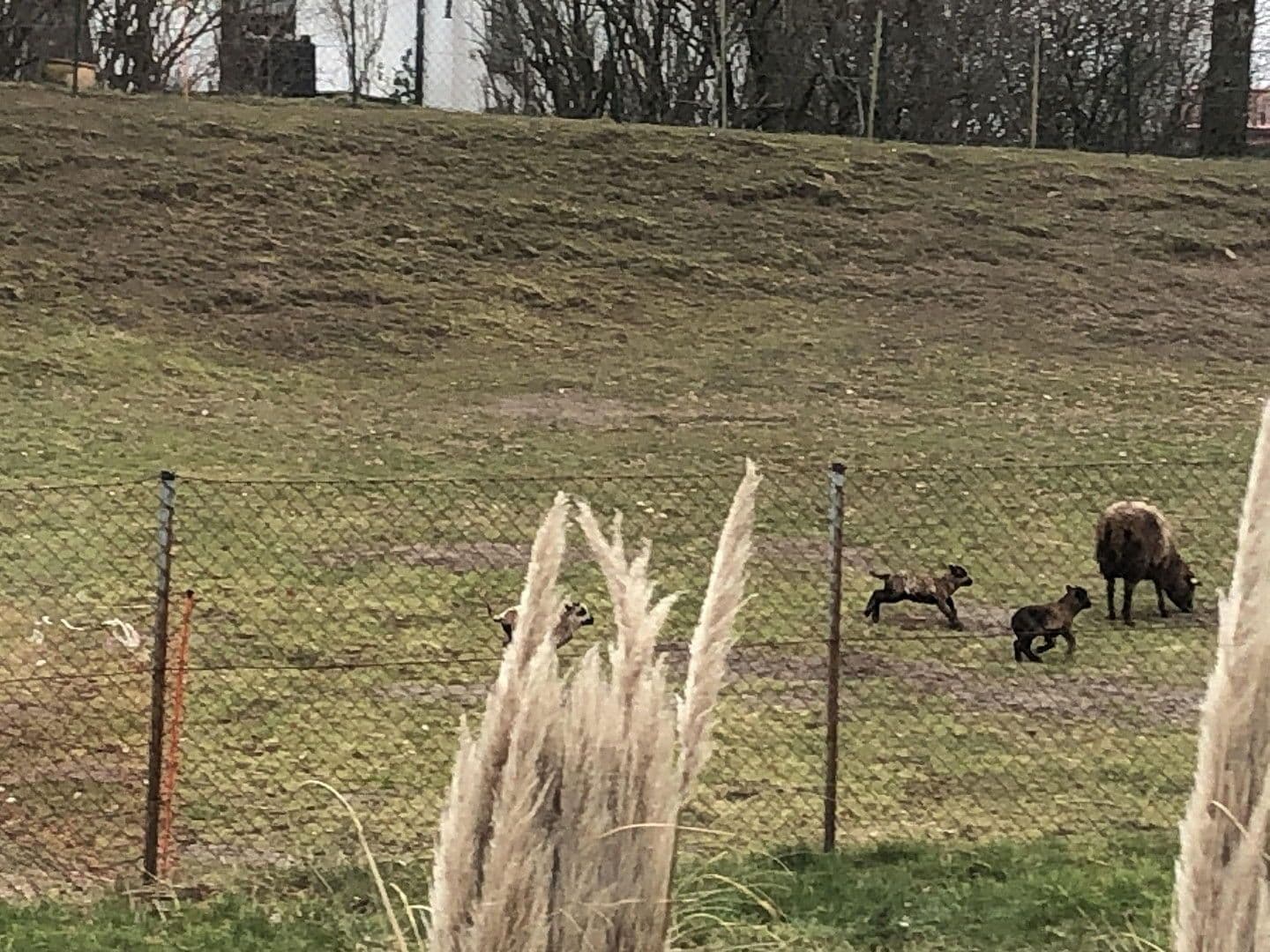 house for sale, 157 m², Poseritz, Mecklenburg-Vorpommern house for sale, 157 m², Poseritz, Mecklenburg-Vorpommern