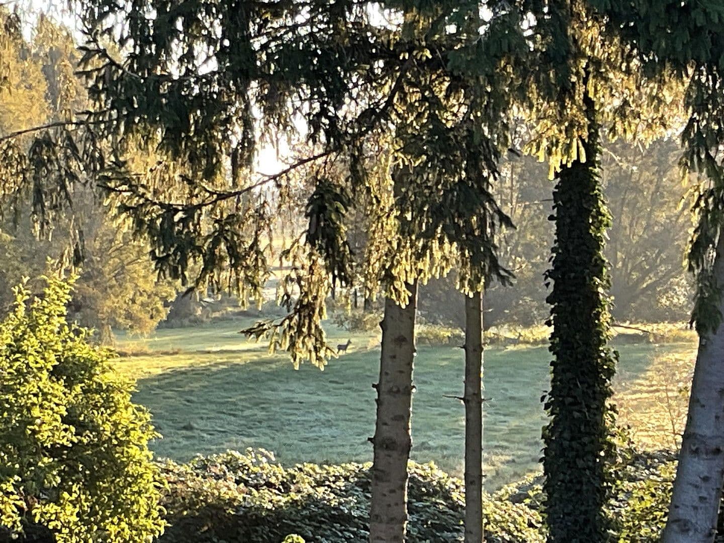 house for sale, 157 m², Poseritz, Mecklenburg-Vorpommern house for sale, 157 m², Poseritz, Mecklenburg-Vorpommern