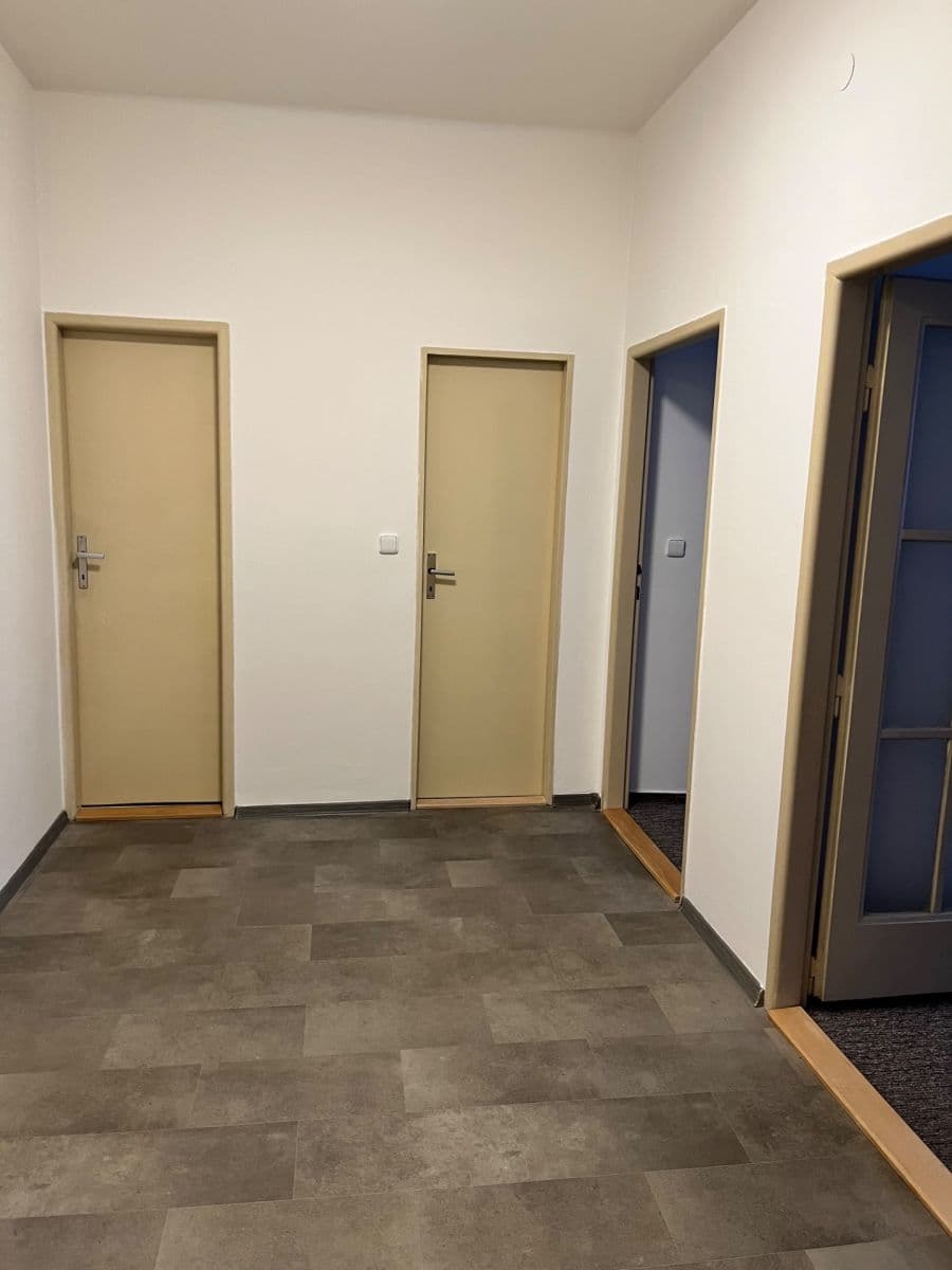 1 bedroom with open-plan kitchen flat to rent, 68 m², Puškinovo náměstí, Prague, Prague 1 bedroom with open-plan kitchen flat to rent, 68 m², Puškinovo náměstí, Prague, Prague