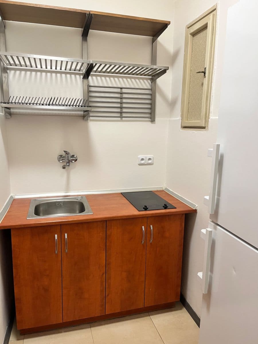 1 bedroom with open-plan kitchen flat to rent, 68 m², Puškinovo náměstí, Prague, Prague 1 bedroom with open-plan kitchen flat to rent, 68 m², Puškinovo náměstí, Prague, Prague