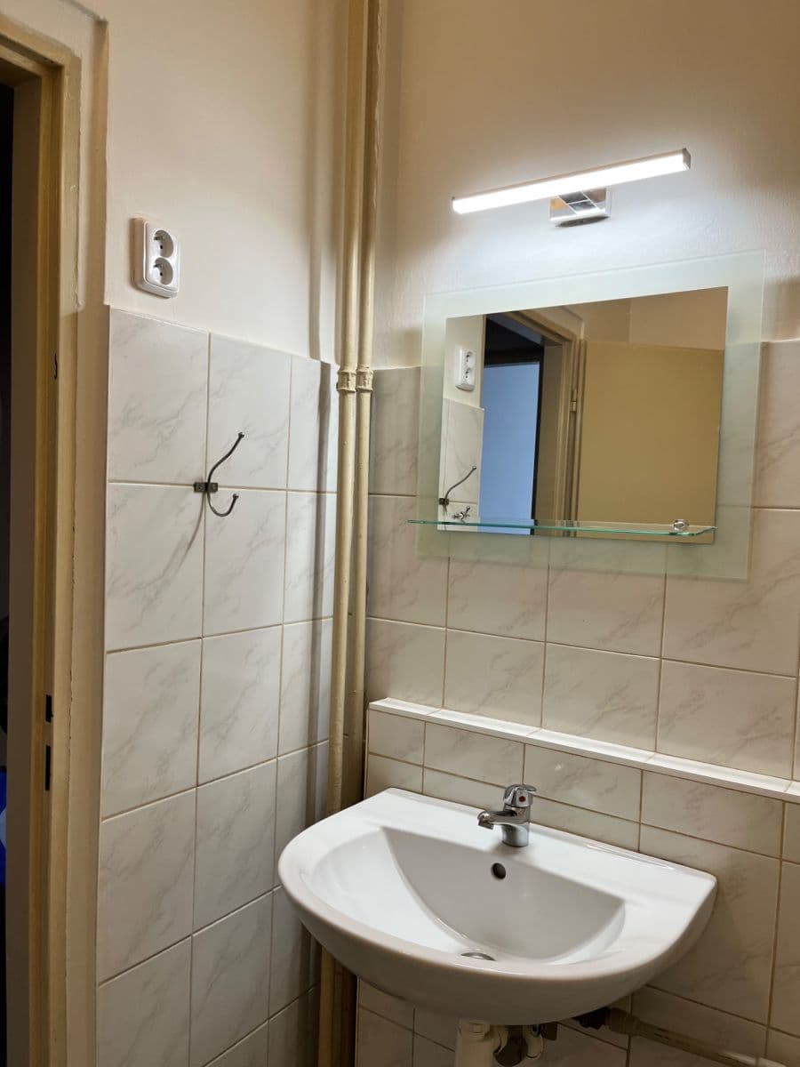 1 bedroom with open-plan kitchen flat to rent, 68 m², Puškinovo náměstí, Prague, Prague 1 bedroom with open-plan kitchen flat to rent, 68 m², Puškinovo náměstí, Prague, Prague