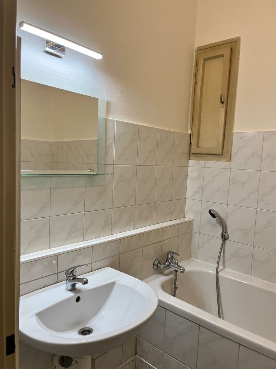 1 bedroom with open-plan kitchen flat to rent, 68 m², Puškinovo náměstí, Prague, Prague 1 bedroom with open-plan kitchen flat to rent, 68 m², Puškinovo náměstí, Prague, Prague