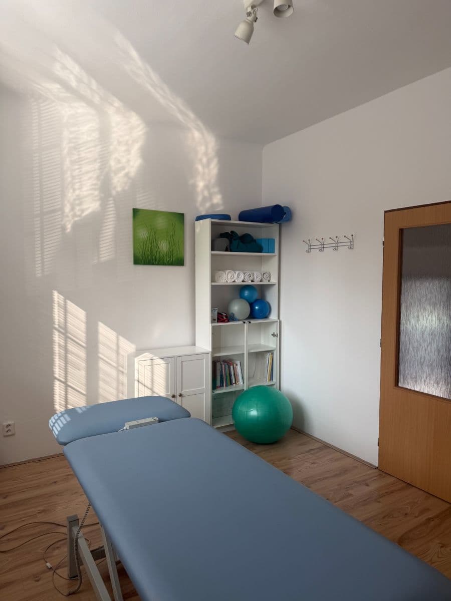 non-residential property to rent, 20 m², Legionářů, Prague, Prague non-residential property to rent, 20 m², Legionářů, Prague, Prague