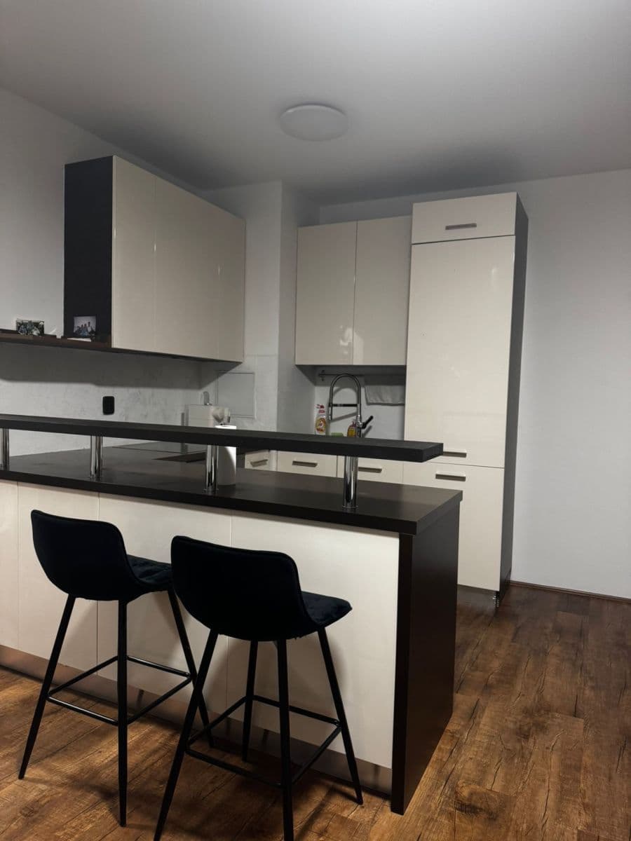 1 bedroom with open-plan kitchen flat to rent, 60 m², Na Palouku, Prague, Prague 1 bedroom with open-plan kitchen flat to rent, 60 m², Na Palouku, Prague, Prague