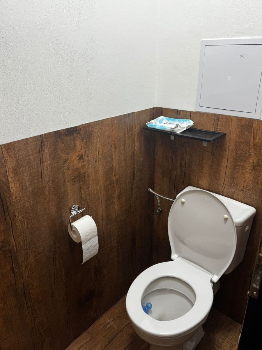 1 bedroom with open-plan kitchen flat to rent, 60 m², Na Palouku, Prague, Prague 1 bedroom with open-plan kitchen flat to rent, 60 m², Na Palouku, Prague, Prague