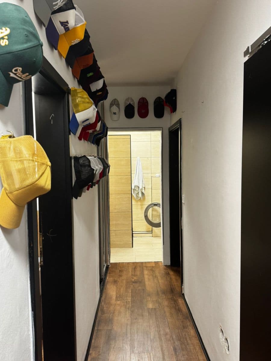 1 bedroom with open-plan kitchen flat to rent, 60 m², Na Palouku, Prague, Prague 1 bedroom with open-plan kitchen flat to rent, 60 m², Na Palouku, Prague, Prague