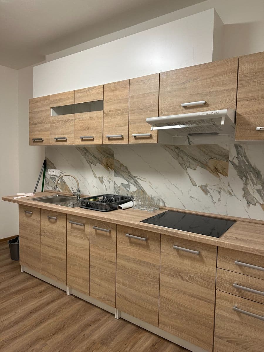 2 bedroom flat to rent, 59 m², Herálecká Ⅰ, Prague, Prague 2 bedroom flat to rent, 59 m², Herálecká Ⅰ, Prague, Prague