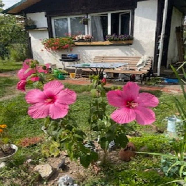 recreational property for sale, 313 m², Na Rybářce, Prague, Prague recreational property for sale, 313 m², Na Rybářce, Prague, Prague