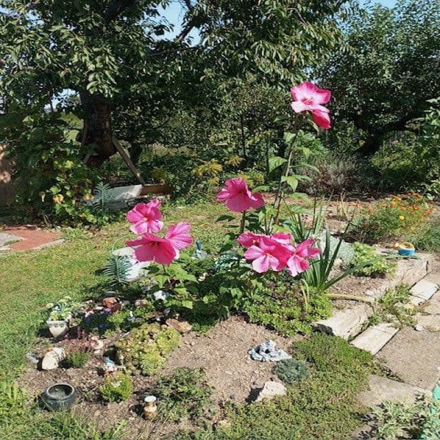 recreational property for sale, 313 m², Na Rybářce, Prague, Prague recreational property for sale, 313 m², Na Rybářce, Prague, Prague