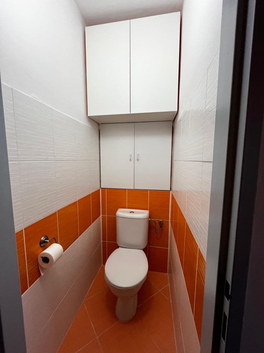 1 bedroom with open-plan kitchen flat to rent, 46 m², Milánská, Prague, Prague 1 bedroom with open-plan kitchen flat to rent, 46 m², Milánská, Prague, Prague