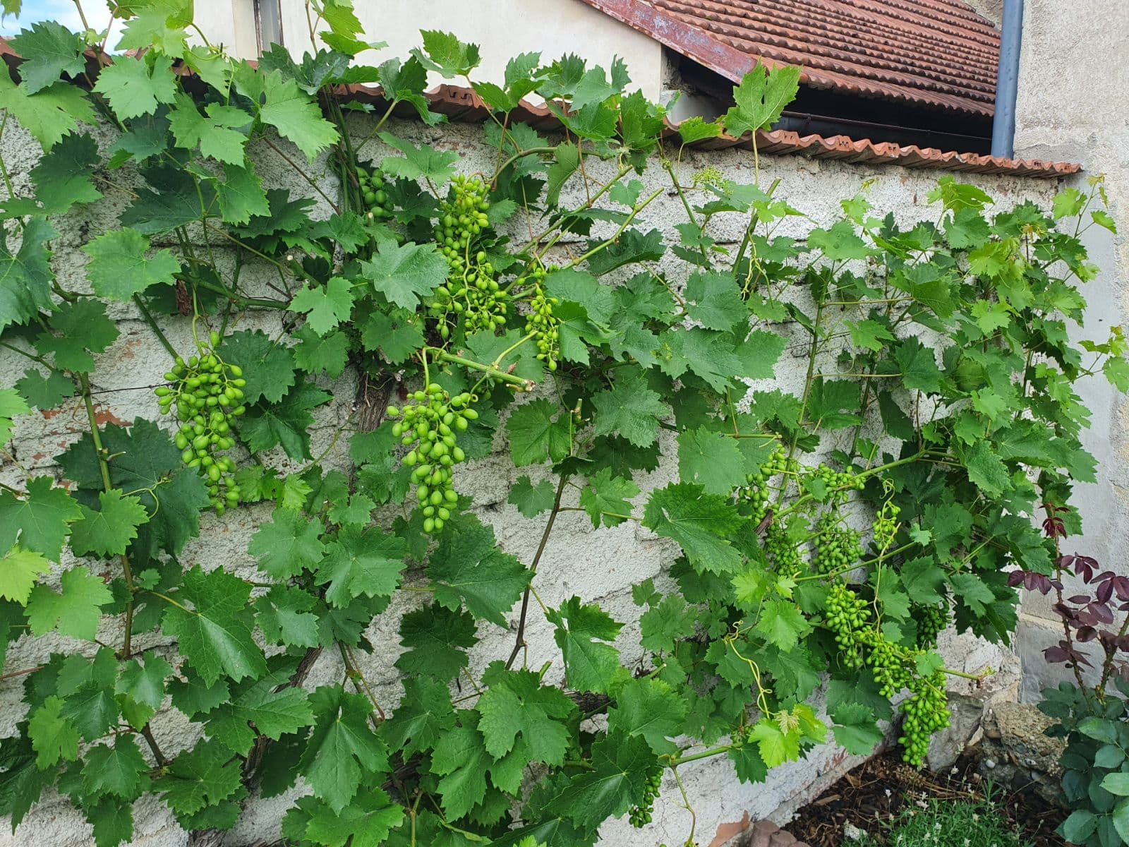 house for sale, 98 m², 23910, Páleč, Středočeský Region house for sale, 98 m², 23910, Páleč, Středočeský Region