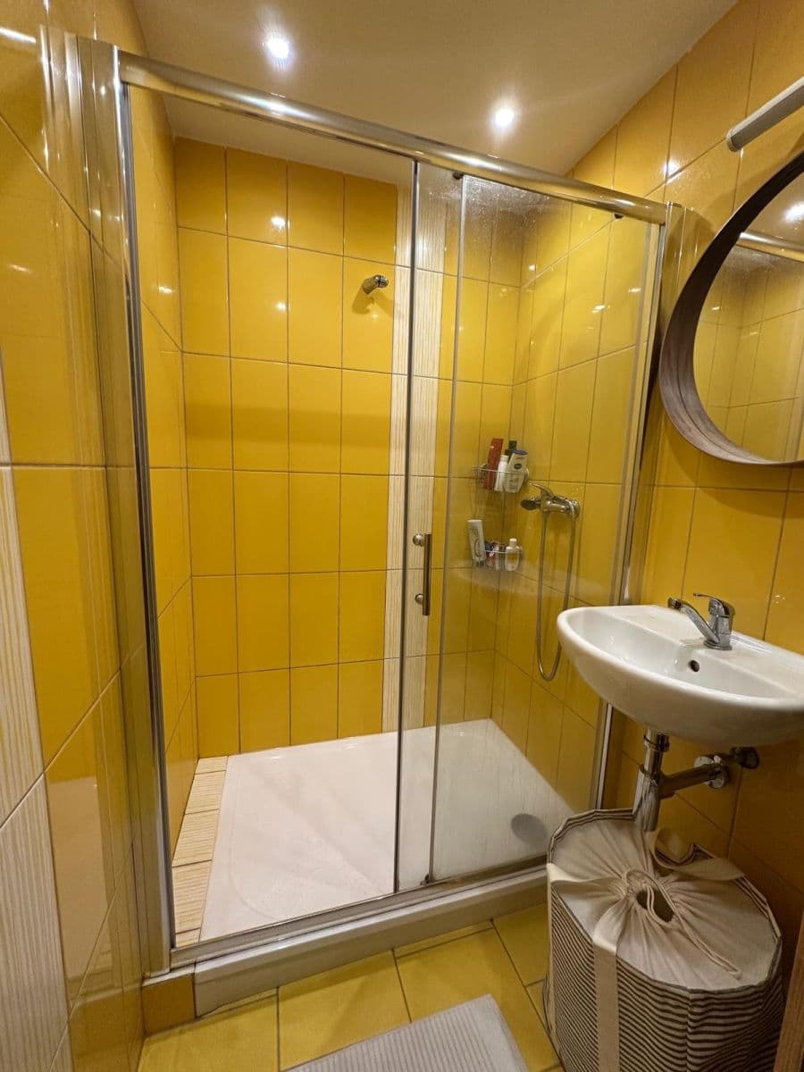 1 bedroom with open-plan kitchen flat to rent, 45 m², Hrdličkova, Prague, Prague 1 bedroom with open-plan kitchen flat to rent, 45 m², Hrdličkova, Prague, Prague