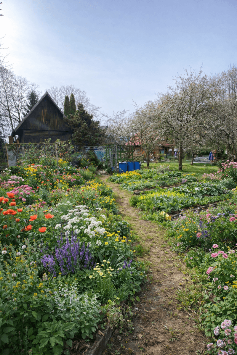 recreational property to rent, 400 m², Do Lehovic, Říčany, Středočeský Region recreational property to rent, 400 m², Do Lehovic, Říčany, Středočeský Region