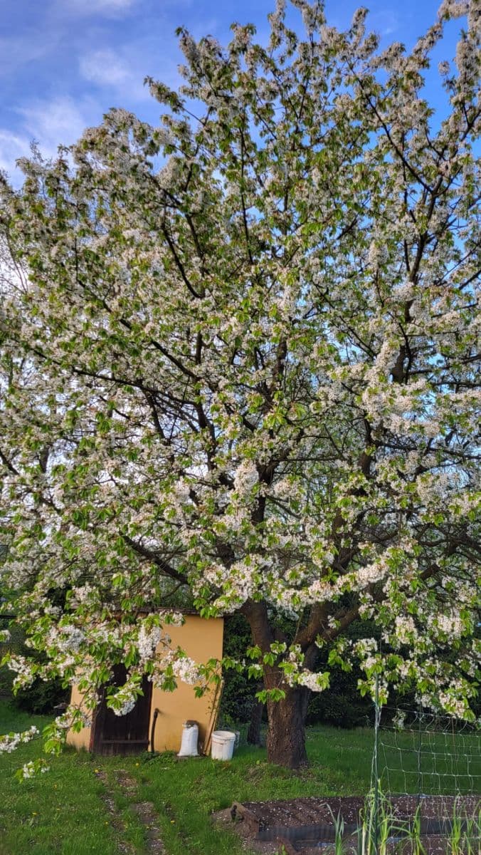 plot for sale, 655 m², Březová, Děčín, Ústecký Region plot for sale, 655 m², Březová, Děčín, Ústecký Region