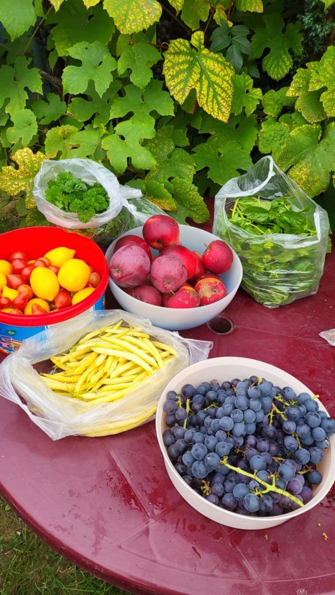 plot for sale, 655 m², Březová, Děčín, Ústecký Region plot for sale, 655 m², Březová, Děčín, Ústecký Region