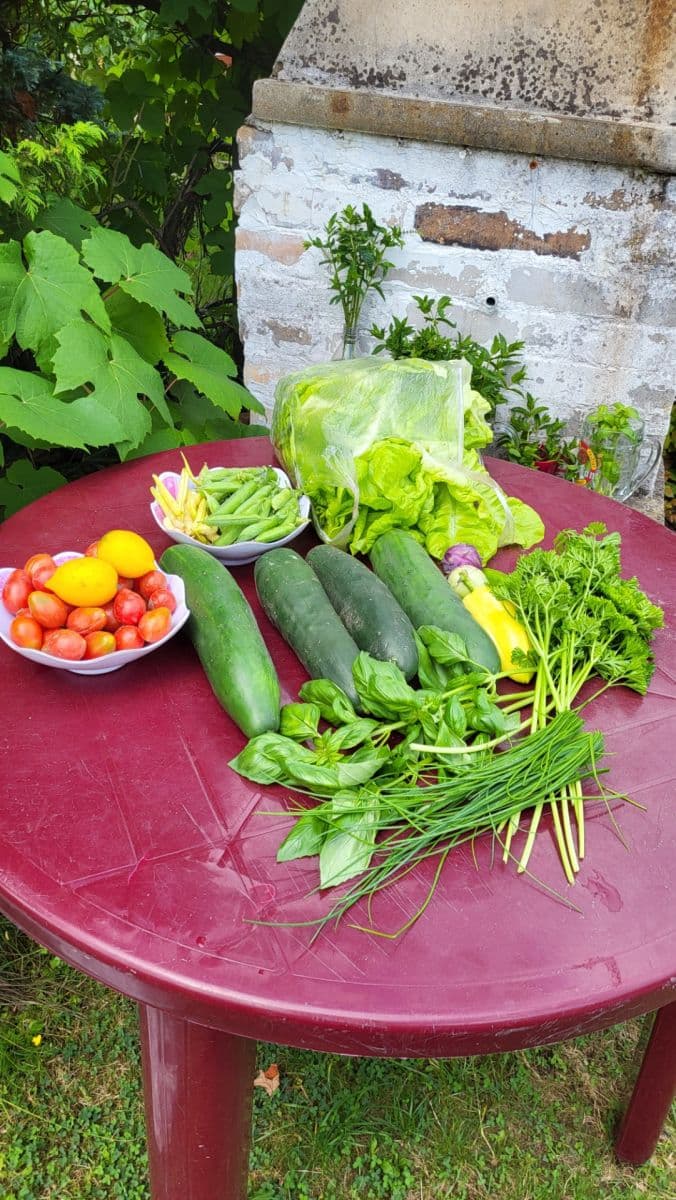 plot for sale, 655 m², Březová, Děčín, Ústecký Region plot for sale, 655 m², Březová, Děčín, Ústecký Region