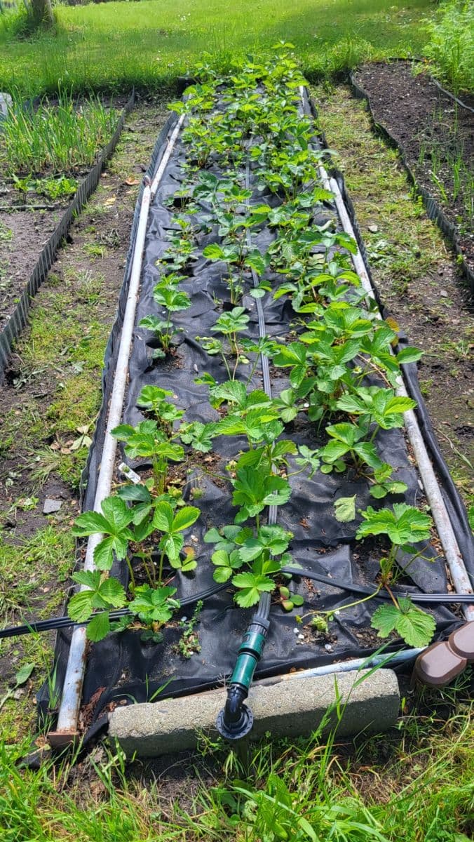 plot for sale, 655 m², Březová, Děčín, Ústecký Region plot for sale, 655 m², Březová, Děčín, Ústecký Region