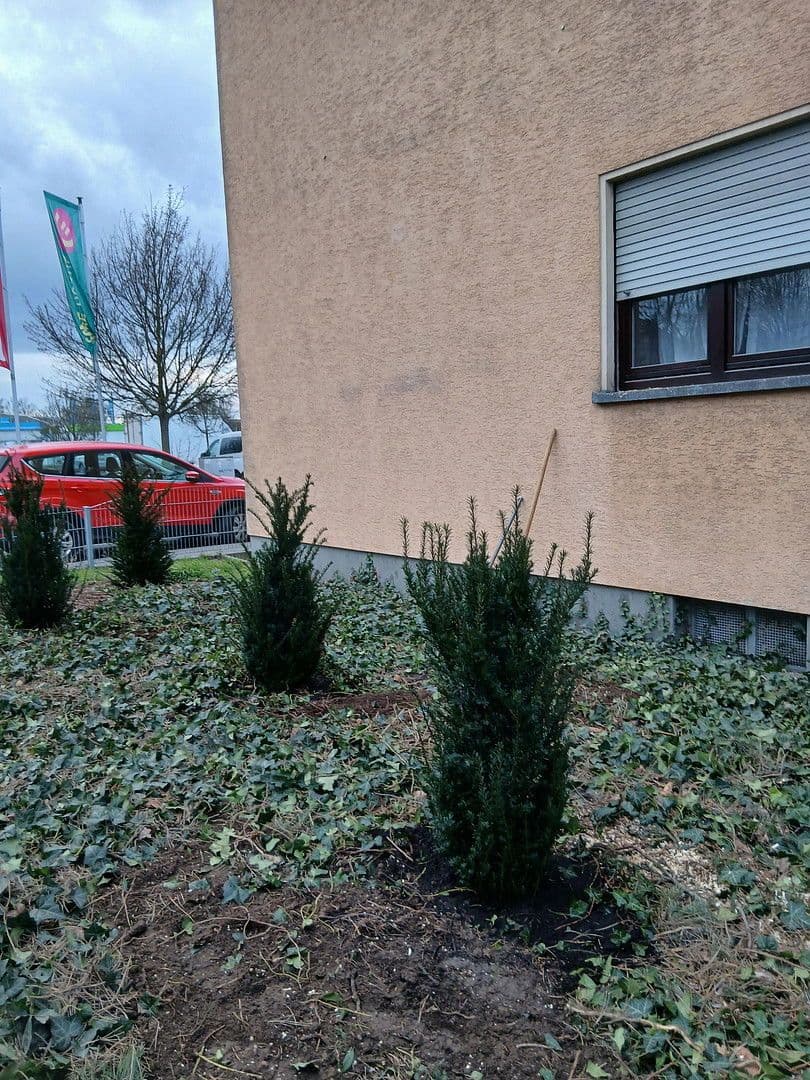 3 bedroom flat to rent, 86 m², Ludwigshafen, Rhineland-Palatinate 3 bedroom flat to rent, 86 m², Ludwigshafen, Rhineland-Palatinate