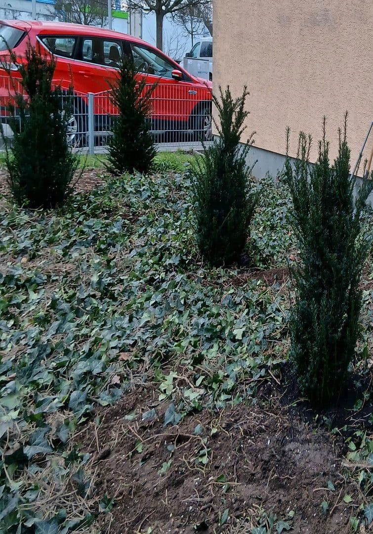 3 bedroom flat to rent, 86 m², Ludwigshafen, Rhineland-Palatinate 3 bedroom flat to rent, 86 m², Ludwigshafen, Rhineland-Palatinate