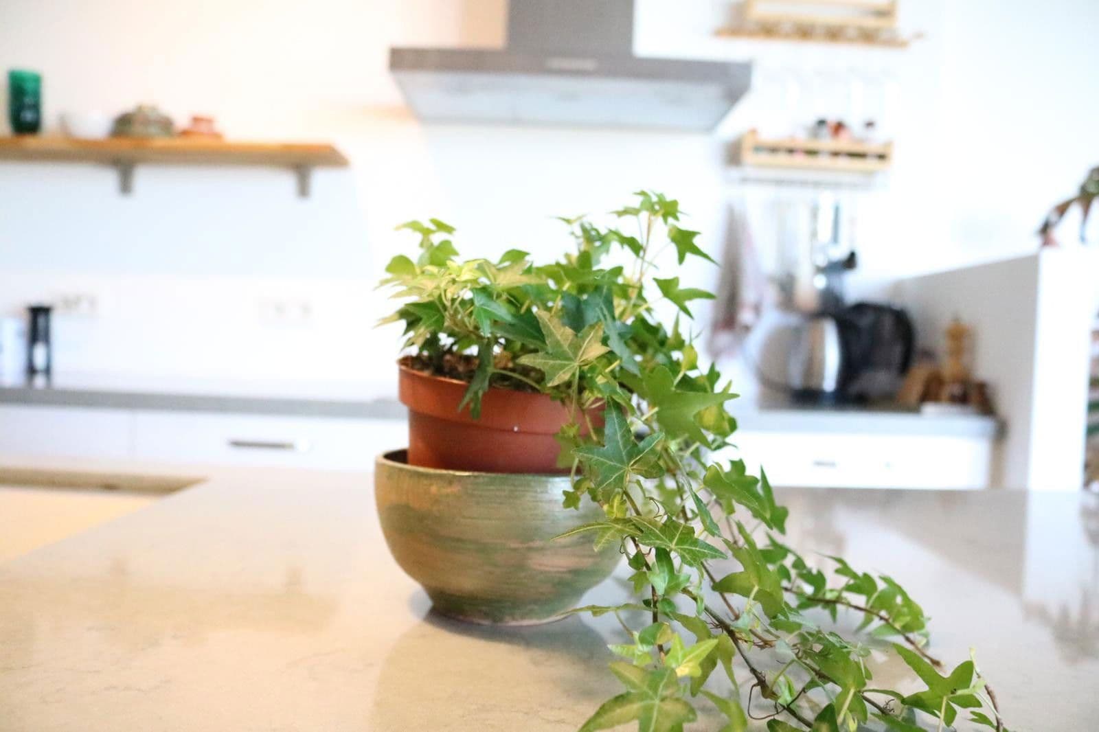 3 bedroom flat to rent, 119 m², Berlin, Berlin 3 bedroom flat to rent, 119 m², Berlin, Berlin