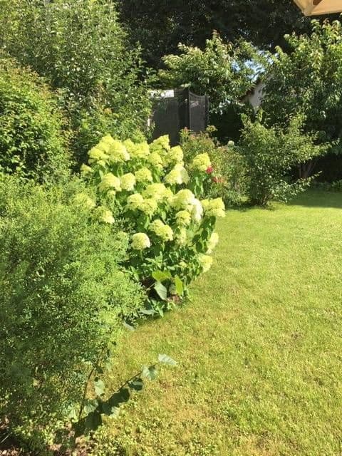 house to rent, 172 m², Schneemannstrasse 0, München, Bavaria house to rent, 172 m², Schneemannstrasse 0, München, Bavaria