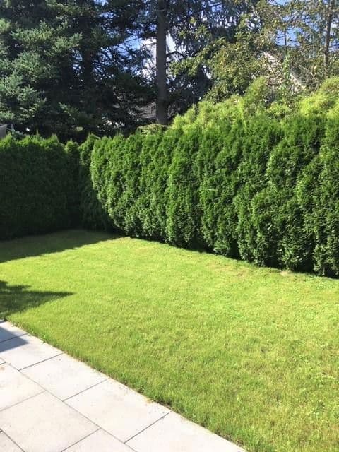 house to rent, 172 m², Schneemannstrasse 0, München, Bavaria house to rent, 172 m², Schneemannstrasse 0, München, Bavaria