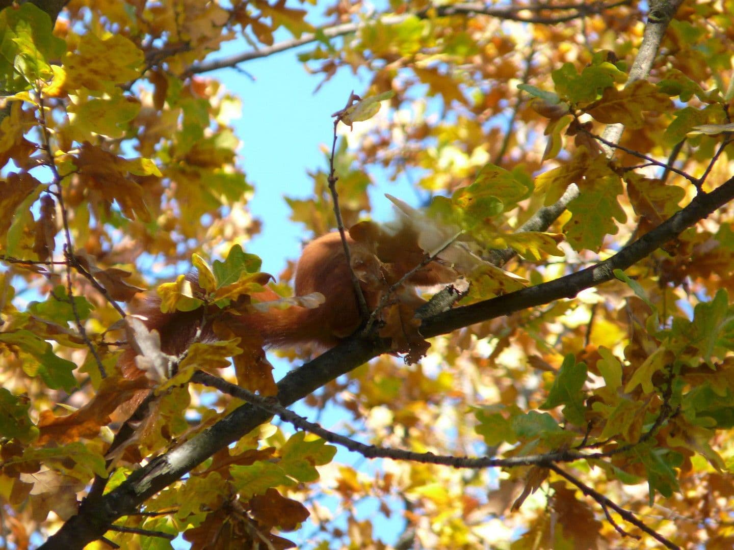 2 bedroom flat for sale, 65 m², Fritzlarer Str. 8, Frankfurt am Main, Hesse 2 bedroom flat for sale, 65 m², Fritzlarer Str. 8, Frankfurt am Main, Hesse