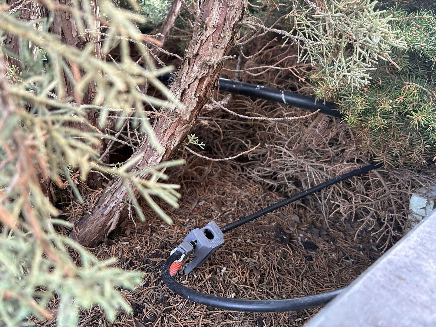 flat to rent, 220 m², Groß-Umstadt, Hesse flat to rent, 220 m², Groß-Umstadt, Hesse