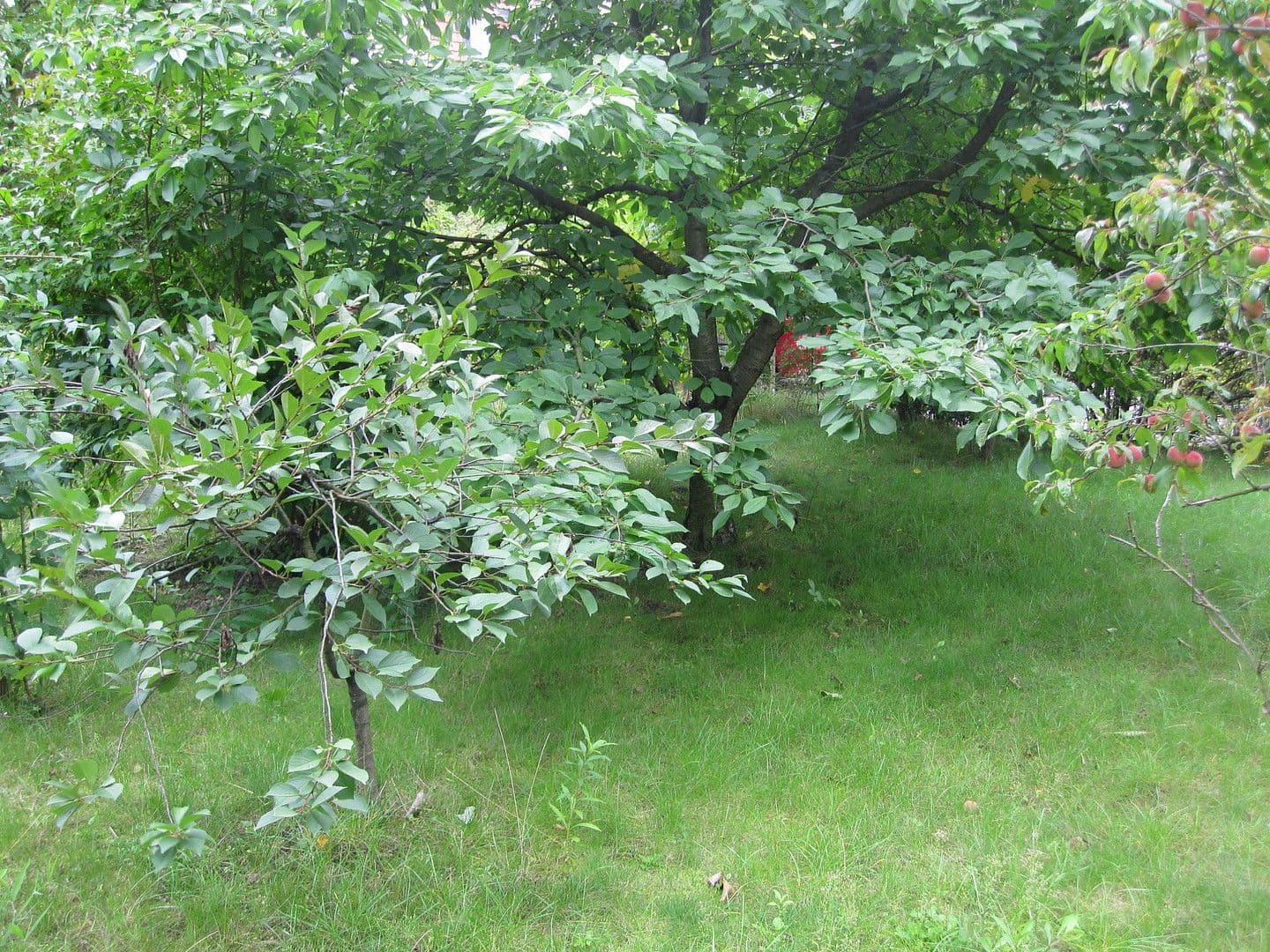 3 bedroom flat to rent, 64 m², Prenzlau, Brandenburg 3 bedroom flat to rent, 64 m², Prenzlau, Brandenburg