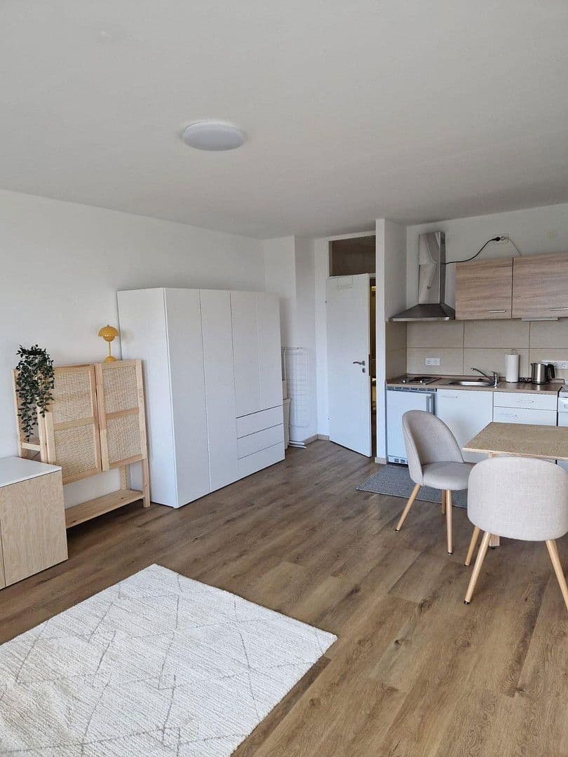 1 bedroom flat to rent, 32 m², Frankfurt am Main, Hesse 1 bedroom flat to rent, 32 m², Frankfurt am Main, Hesse