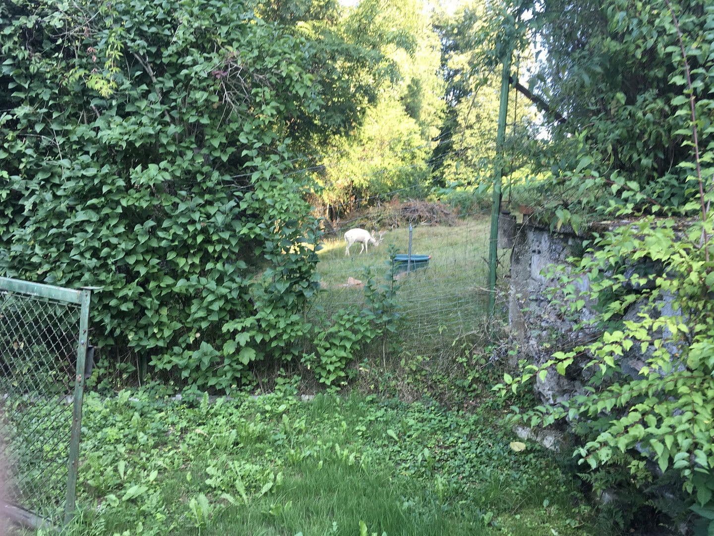 house for sale, 80 m², Klagenfurt, Carinthia house for sale, 80 m², Klagenfurt, Carinthia