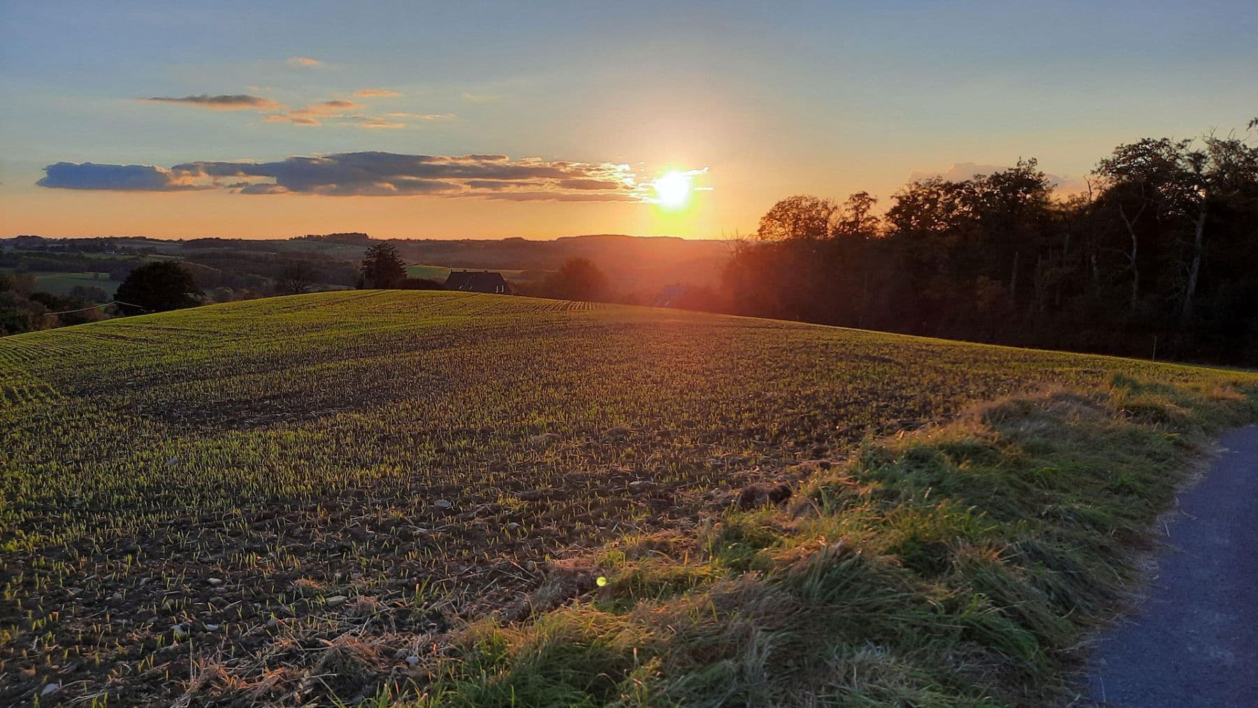 house for sale, 160 m², Am Korstick 46, Essen, North Rhine-Westphalia house for sale, 160 m², Am Korstick 46, Essen, North Rhine-Westphalia