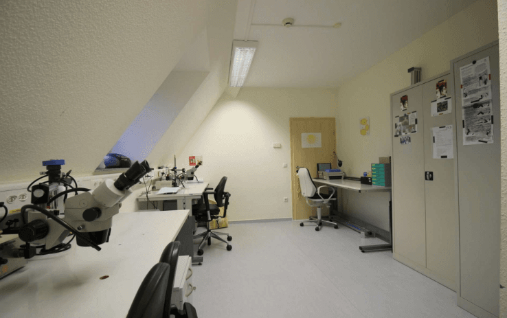 office for sale, 739 m², Dönseler Straße 4, Dickel, Lower Saxony office for sale, 739 m², Dönseler Straße 4, Dickel, Lower Saxony