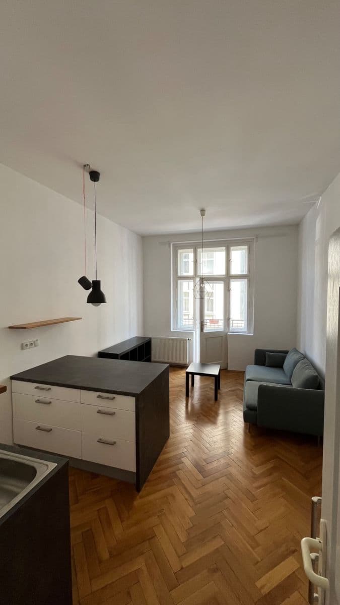 1 bedroom with open-plan kitchen flat to rent, 48 m², Mexická, Prague, Prague 1 bedroom with open-plan kitchen flat to rent, 48 m², Mexická, Prague, Prague