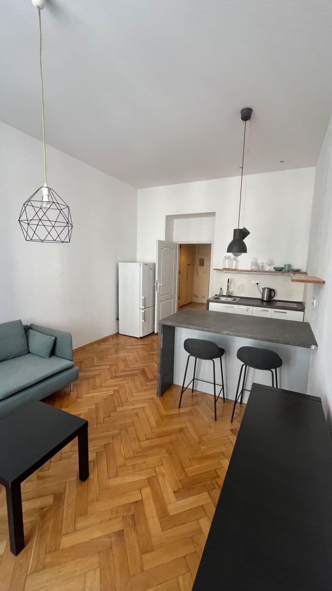 1 bedroom with open-plan kitchen flat to rent, 48 m², Mexická, Prague, Prague 1 bedroom with open-plan kitchen flat to rent, 48 m², Mexická, Prague, Prague